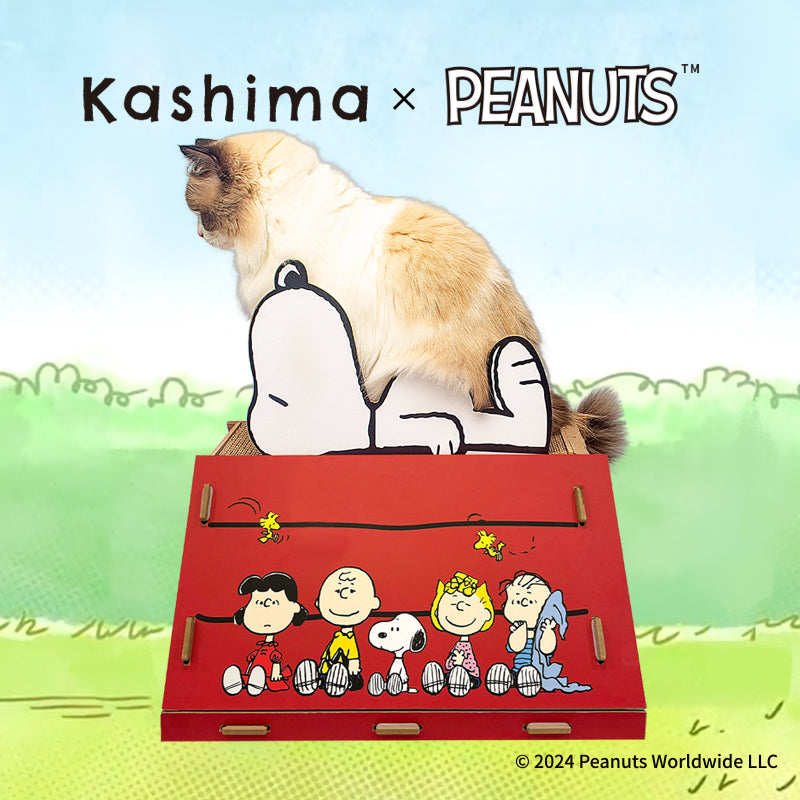 Kashima x Snoopy House cat scratching post