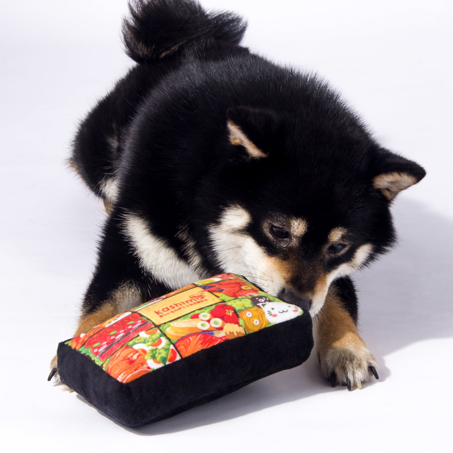 Kahima Lunch Box Shaped Toy