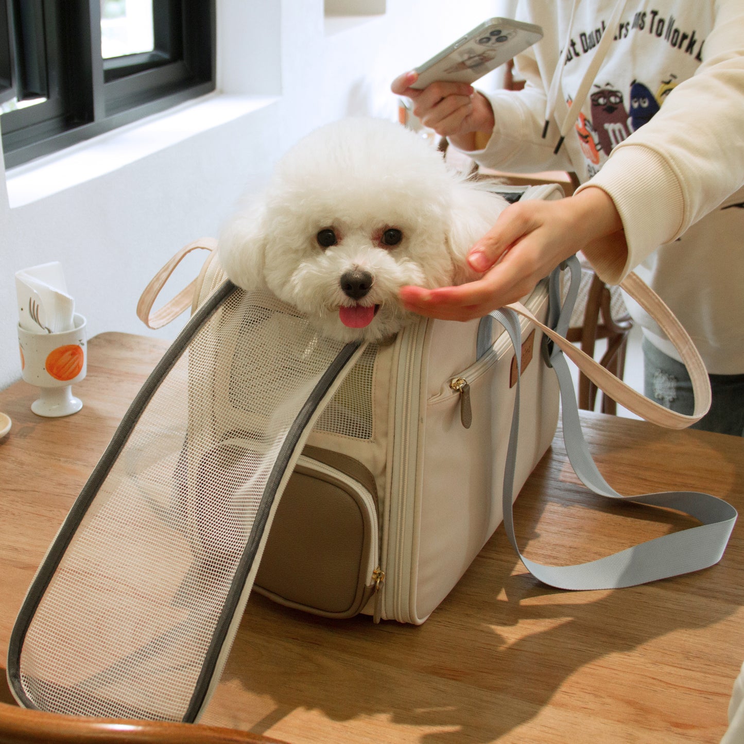 Kashima Pet carrier suitable for pet travel bag out bag