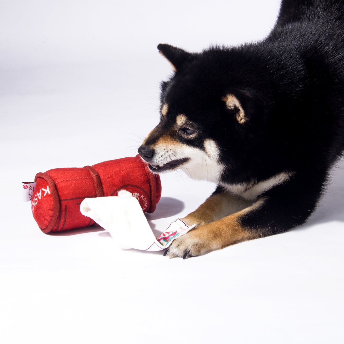 Kashima Mailbox Shaped Pet Toy