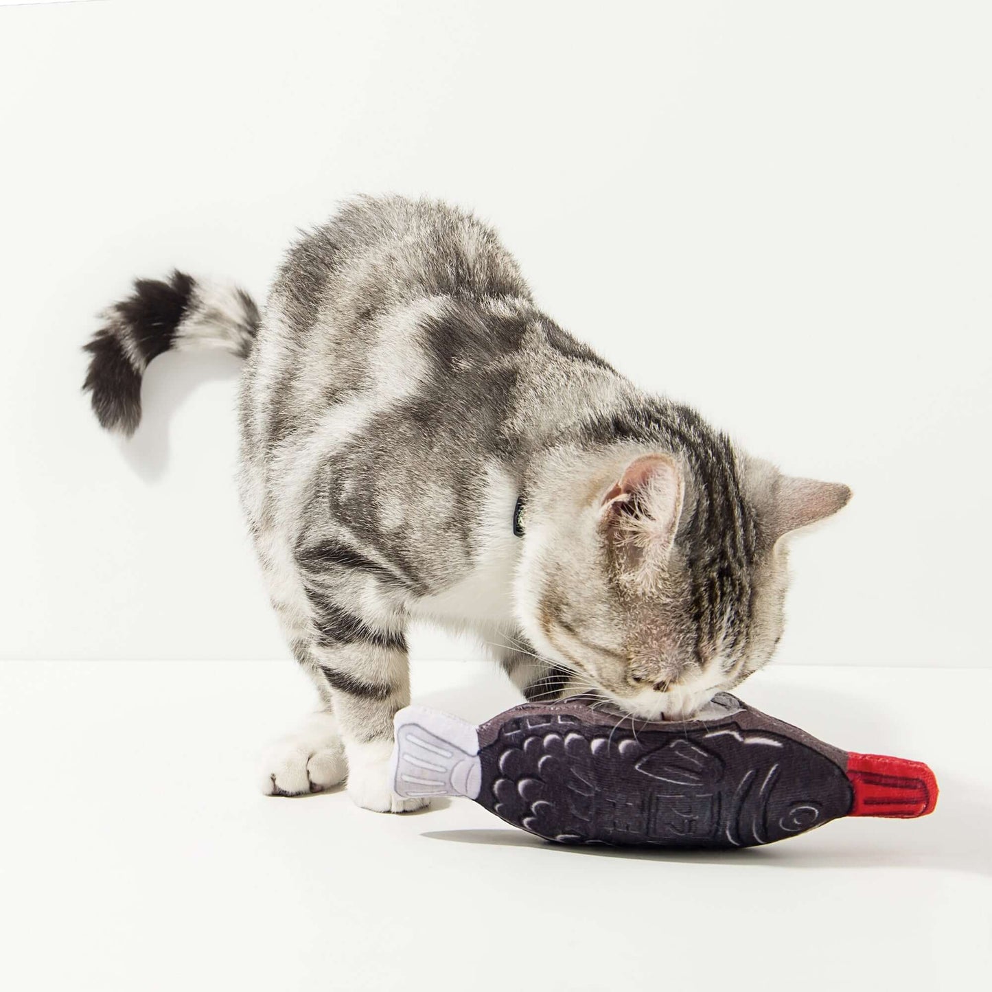 Kashima Soy Sauce Fish Shaped Pet Toy