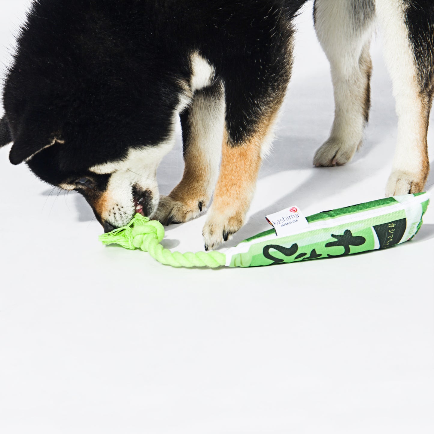 Kashima Japanese Sauce Shaped Pet Chew Toys