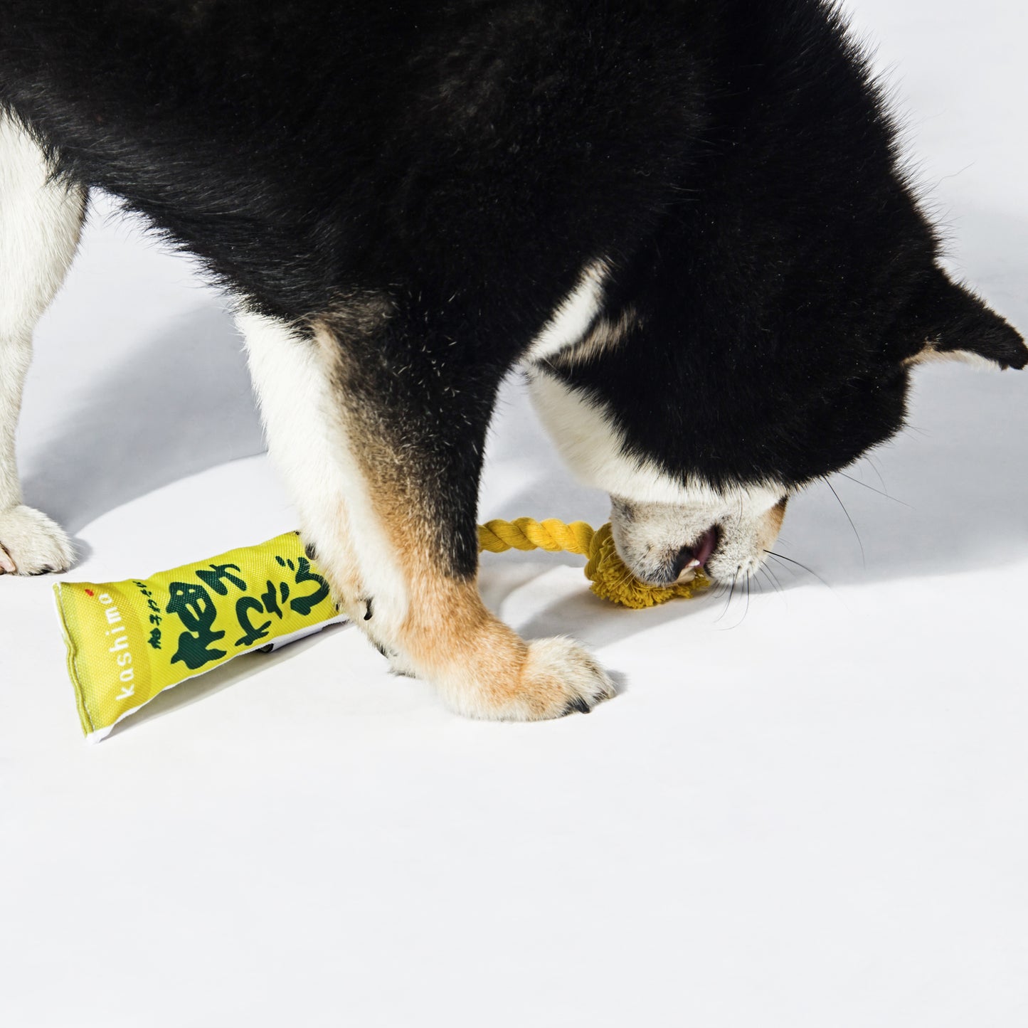 Kashima Japanese Sauce Shaped Pet Chew Toys