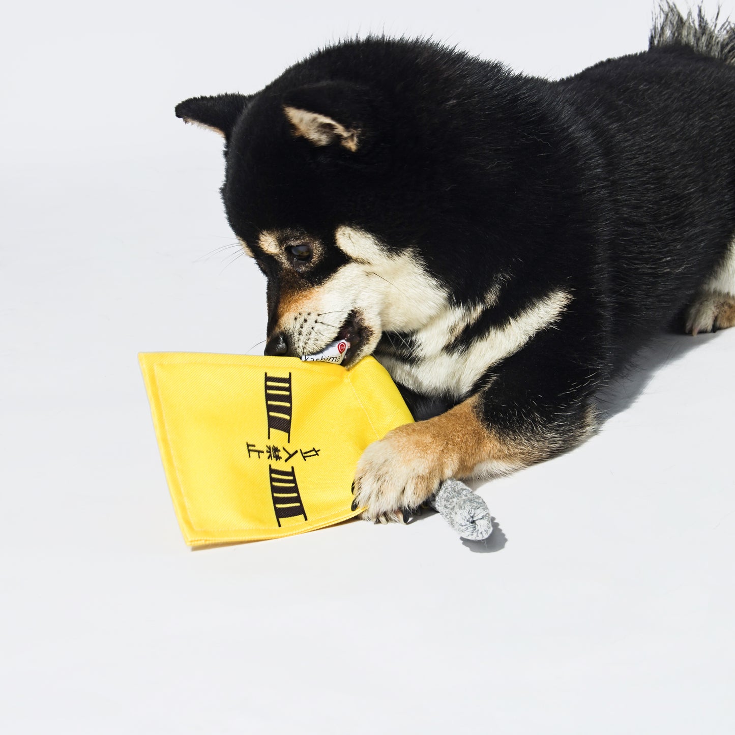 Kashima Flag Shaped Dog Bite Toy