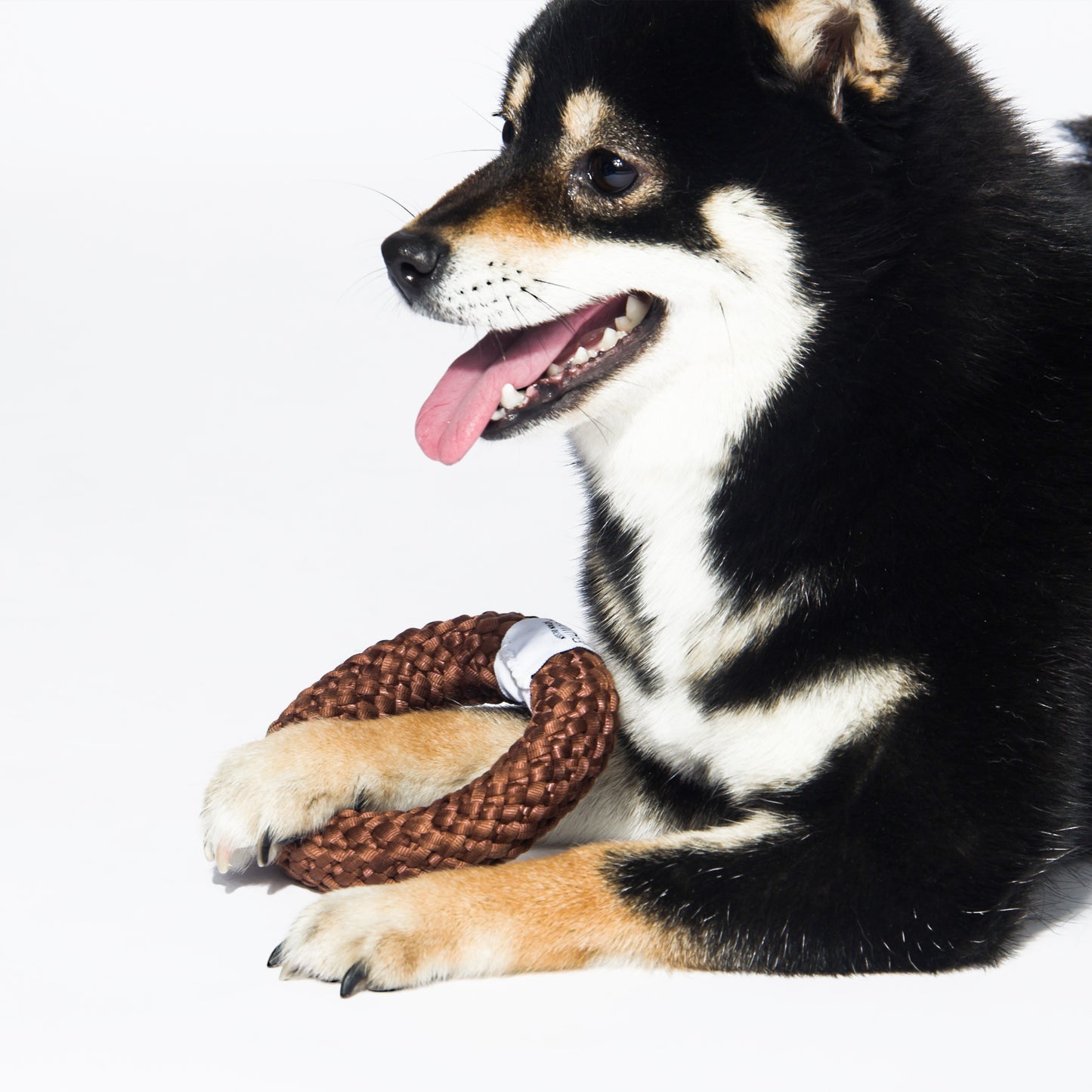 Kashima Donut Shaped Pet Chew Toy