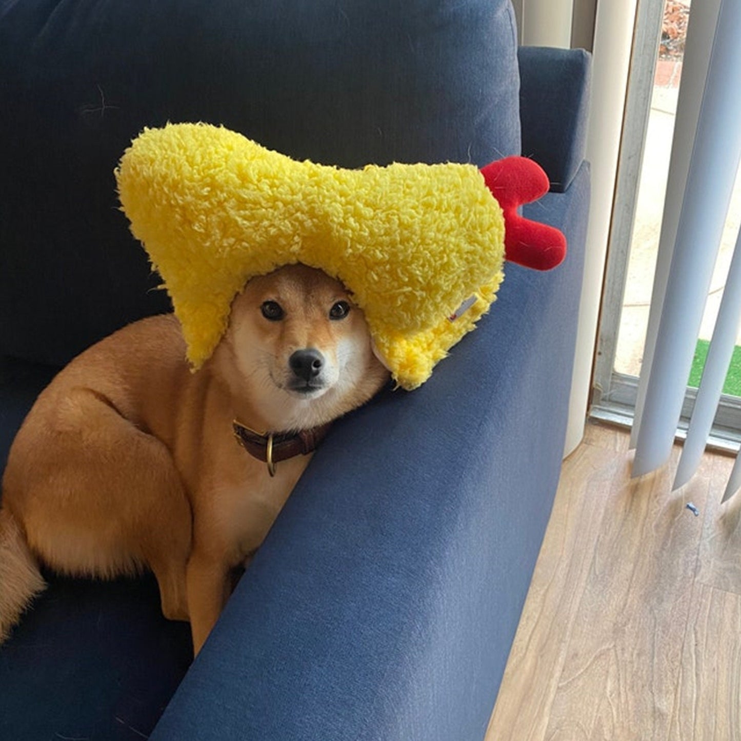 Kashima Shrimp Shaped Pet Hat