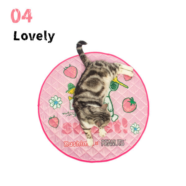 Kashima x Snoopy Strawberry Sweetheart Ice Pad