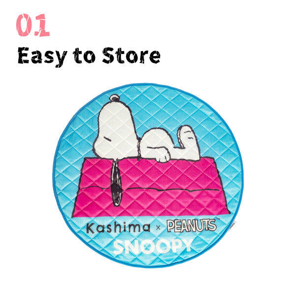 Kashima x Snoopy House Ice Pad