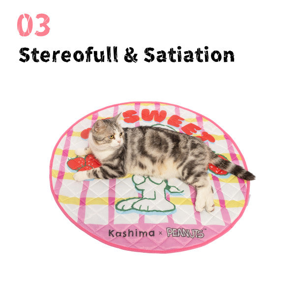 Kashima x Snoopy Strawberry Plaid Ice Pad