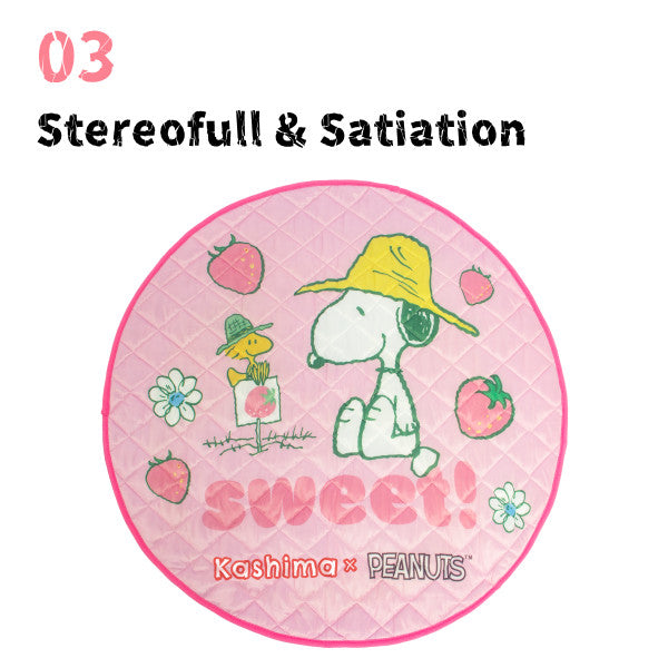 Kashima x Snoopy Strawberry Sweetheart Ice Pad