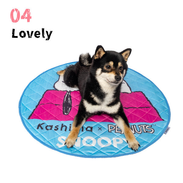 Kashima x Snoopy House Ice Pad