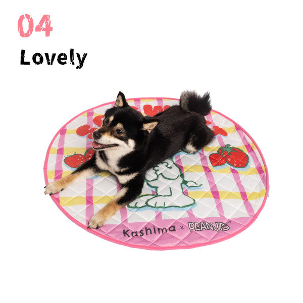Kashima x Snoopy Strawberry Plaid Ice Pad