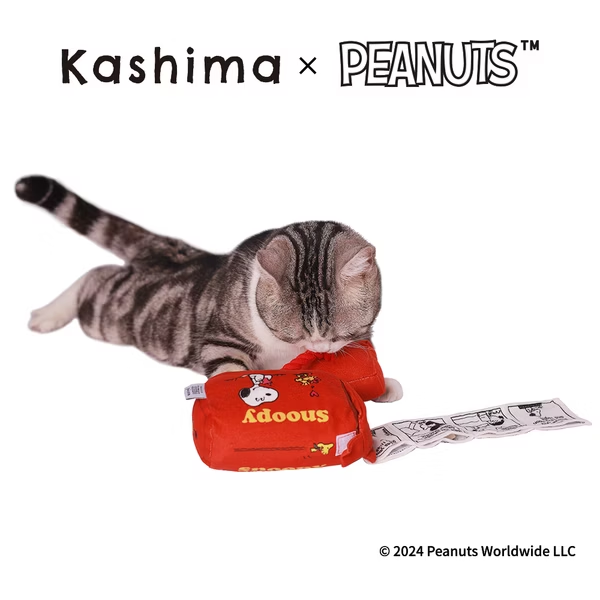 Kashima X Snoopy Mailbox Toy