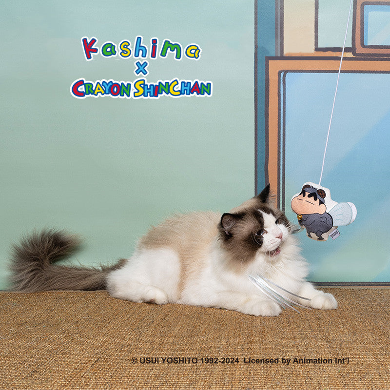 Kashima x Crayon shin-chan cosplay fly cat teaser stick