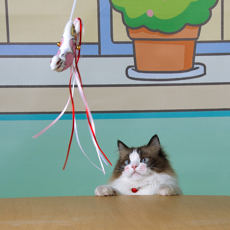Kashima x Crayon Shin-chan Hiroshi Cat Teaser