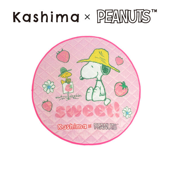 Kashima x Snoopy Strawberry Sweetheart Ice Pad