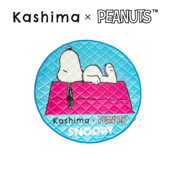 Kashima x Snoopy House Ice Pad