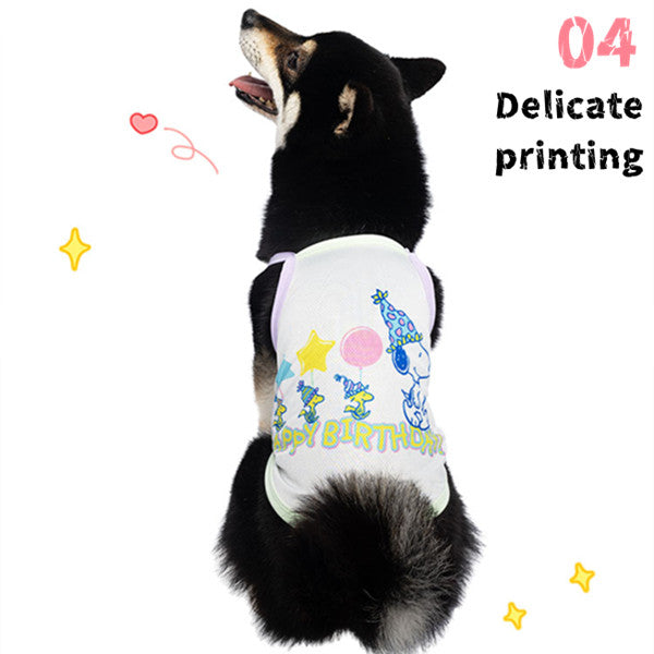 Kashima X Snoopy Birthday party Cool-fabric clothes