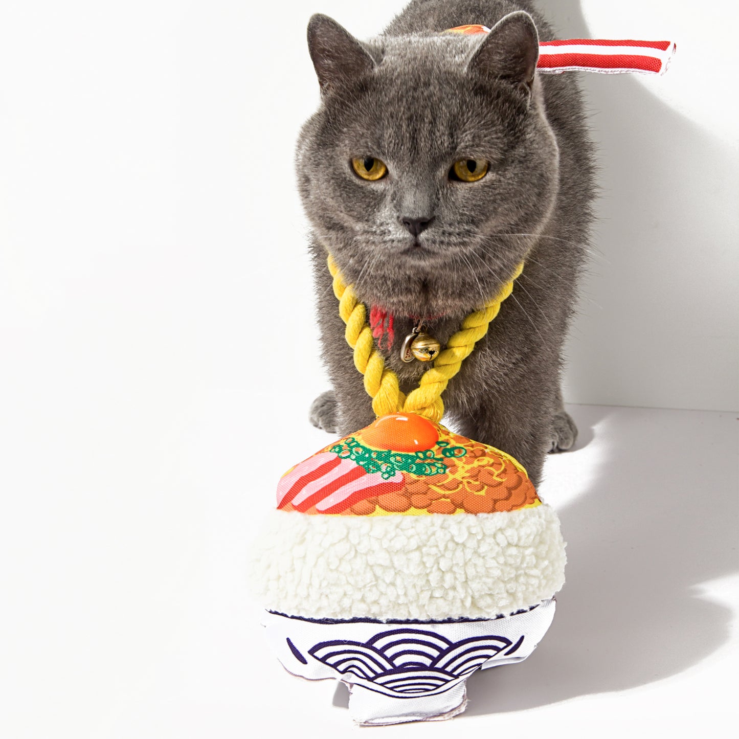 Kashima Natto Shaped Pet Chew Toy