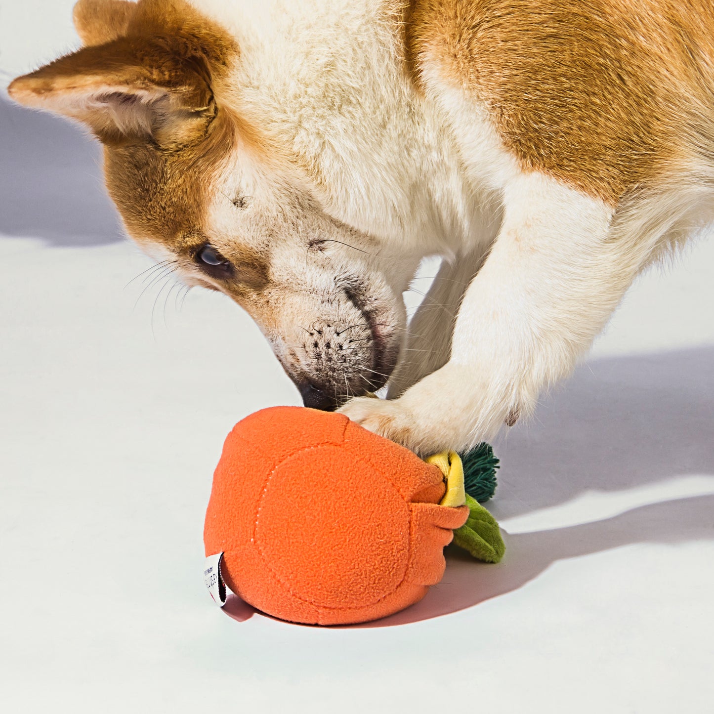 Kashima Ugly Orange Shaped Pet Chew Toy