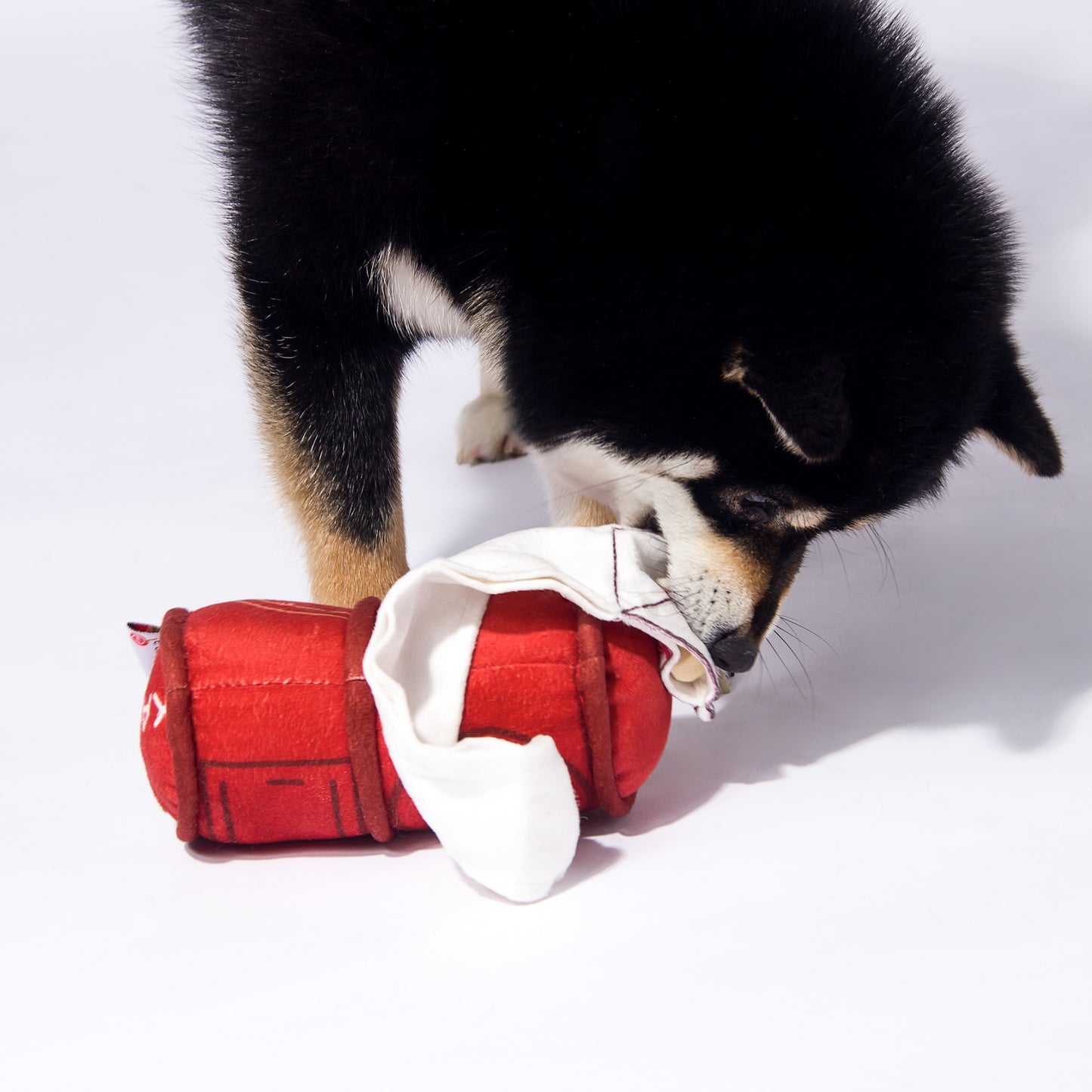 Kashima Mailbox Shaped Pet Toy