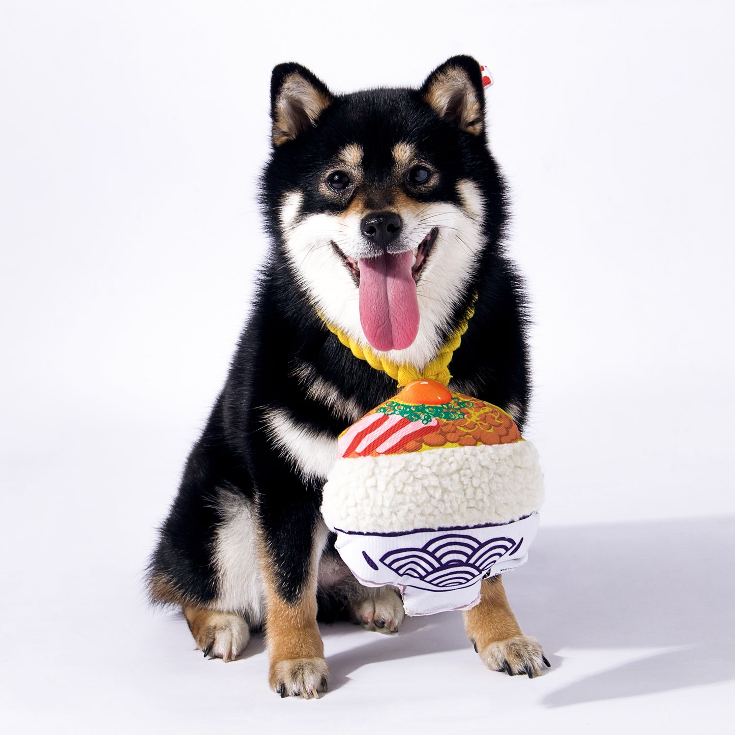 Kashima Natto Shaped Pet Chew Toy