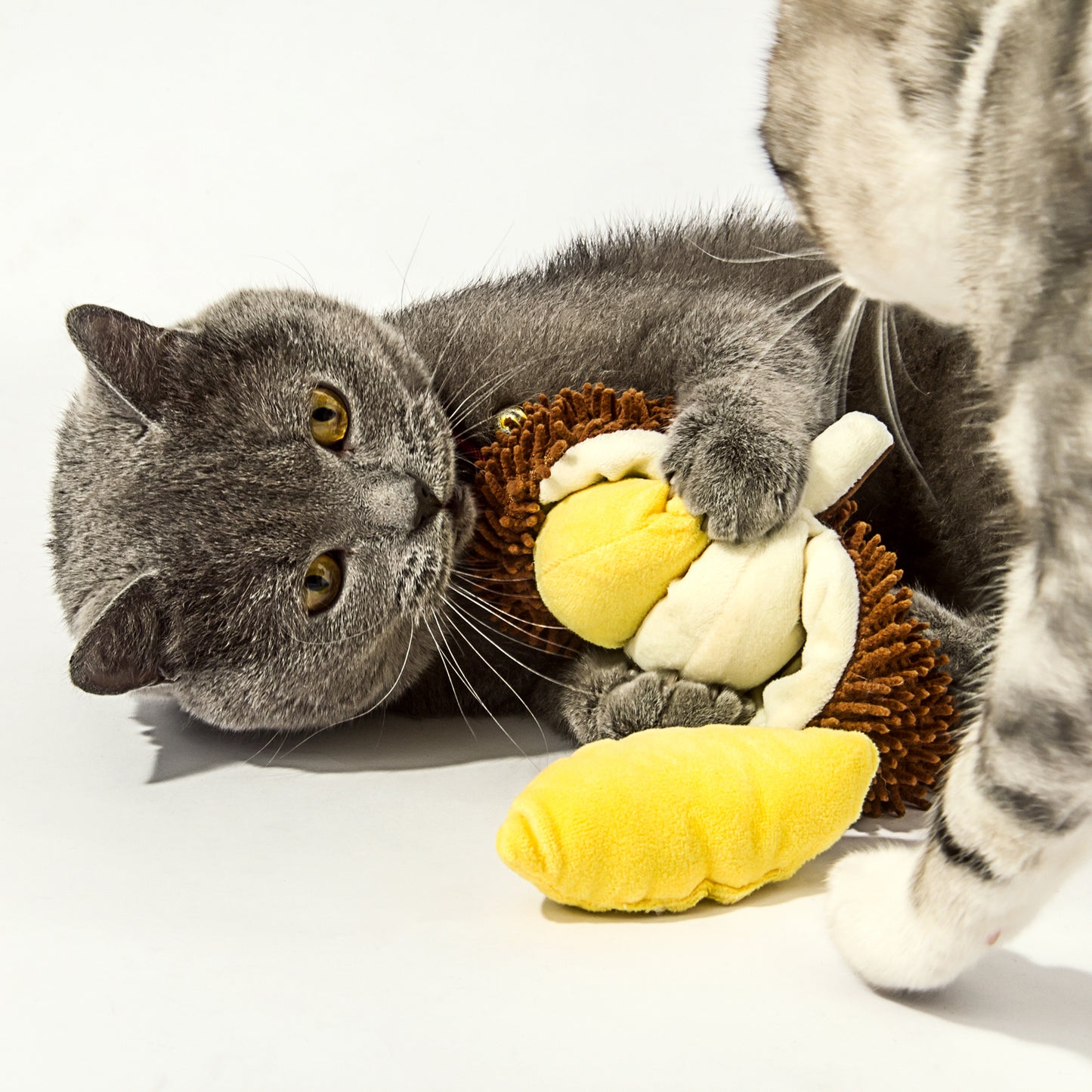 Kashima Durian Shaped Pet Toy Including Catnips