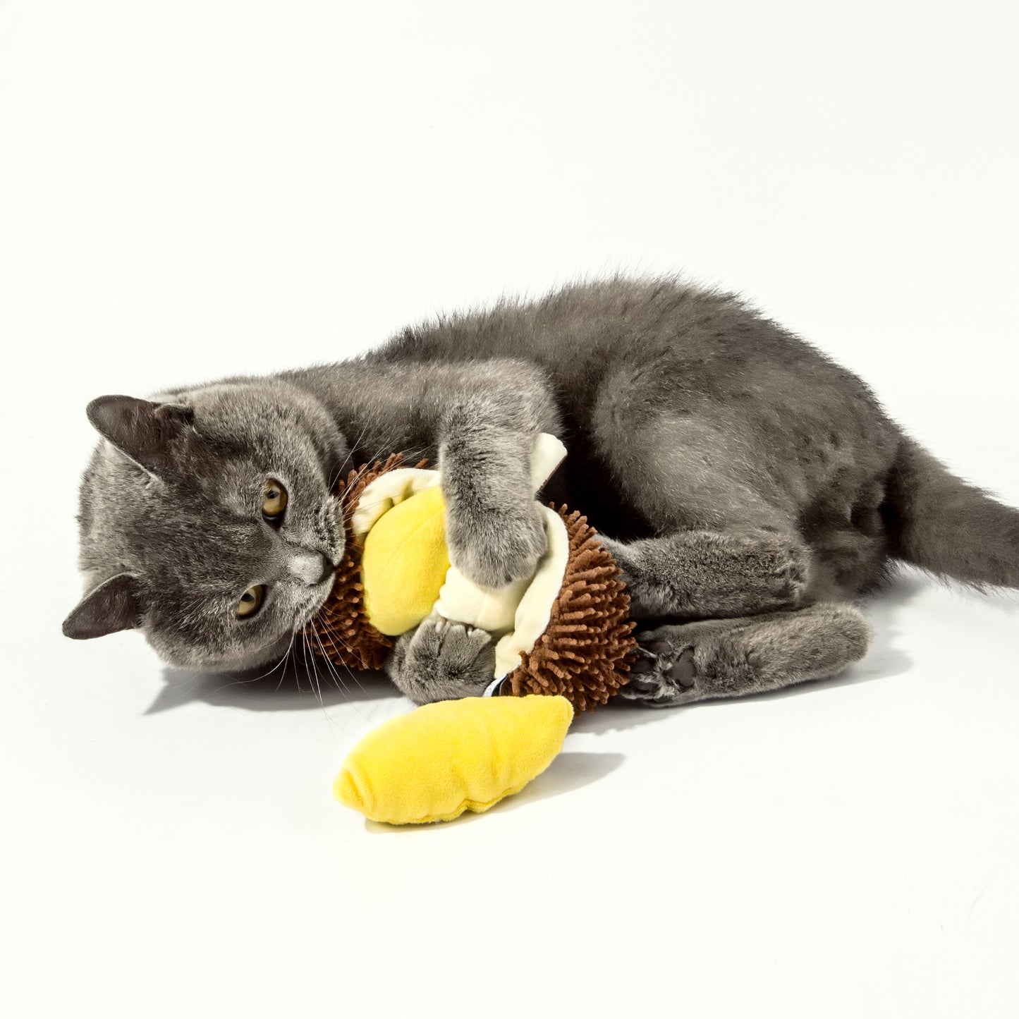 Kashima Durian Shaped Pet Toy Including Catnips