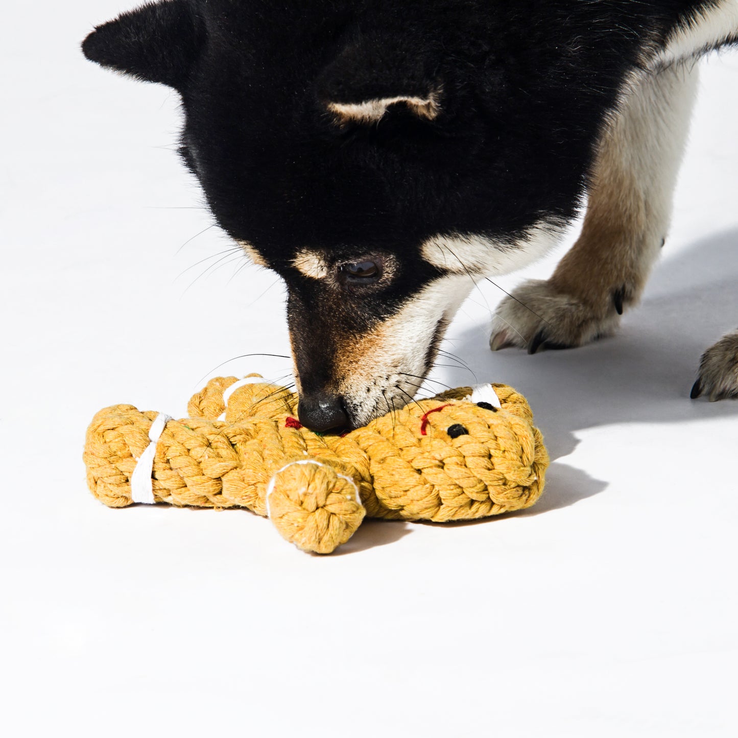 Kashima Gingerbread Man Shaped Dog Pets