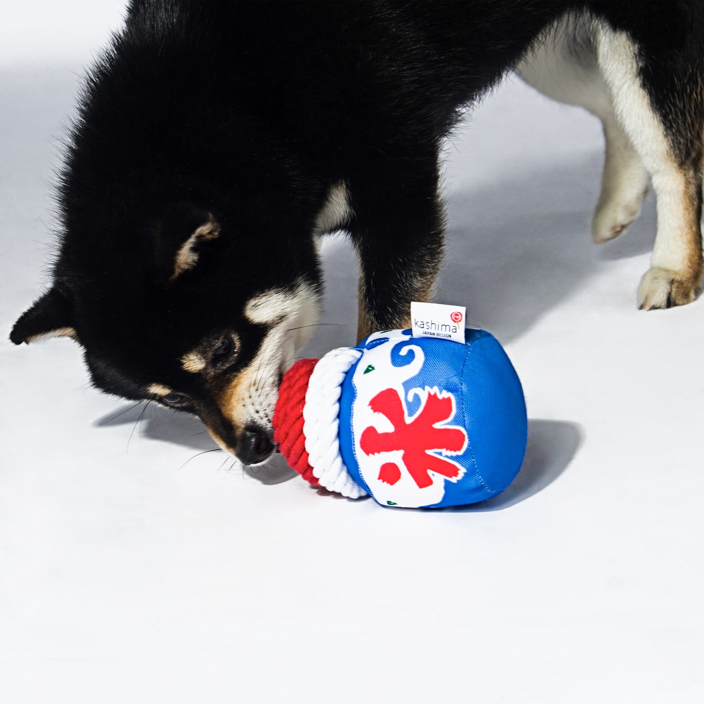 Kashima Water Ice Shaped Dog Toys