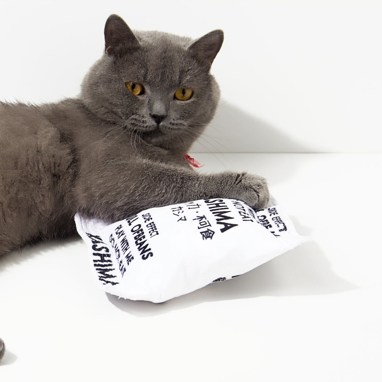 Kashima Desiccant Shaped Pet Toy