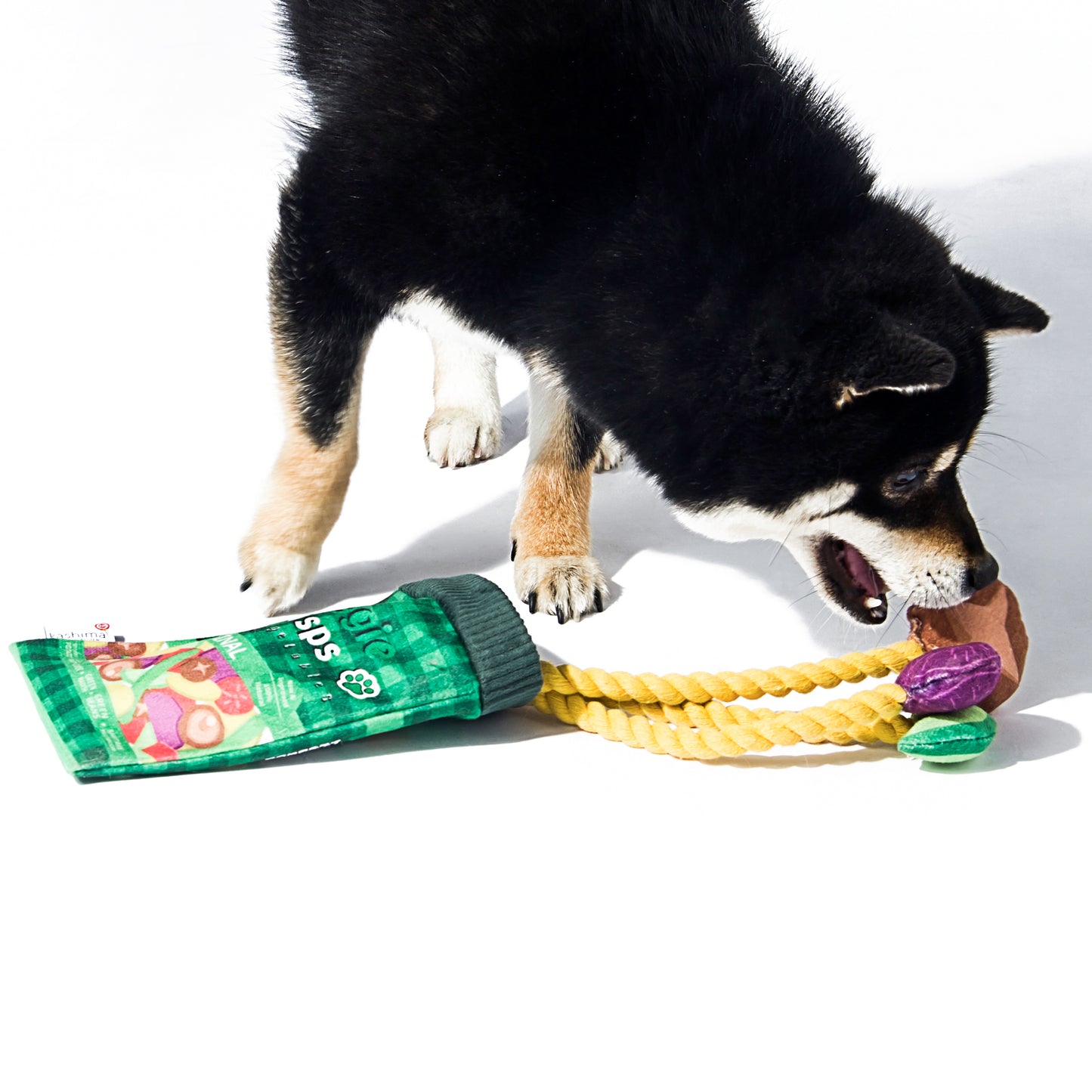 Kashima Fruit and Vegetable Chips Shaped Pet Toys