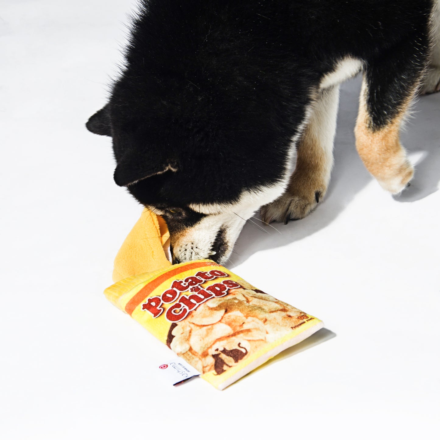 Kashima Chips Shaped Pet Hidden Food Toy