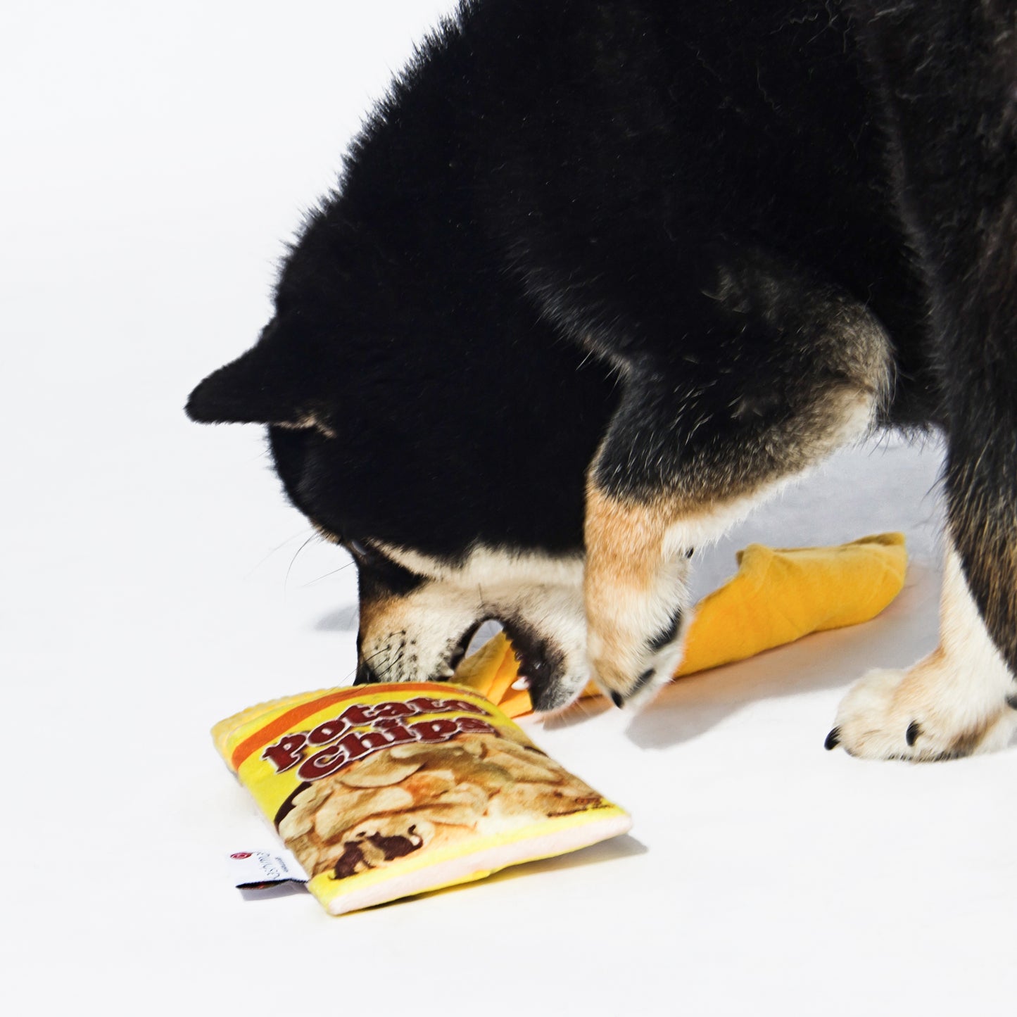 Kashima Chips Shaped Pet Hidden Food Toy