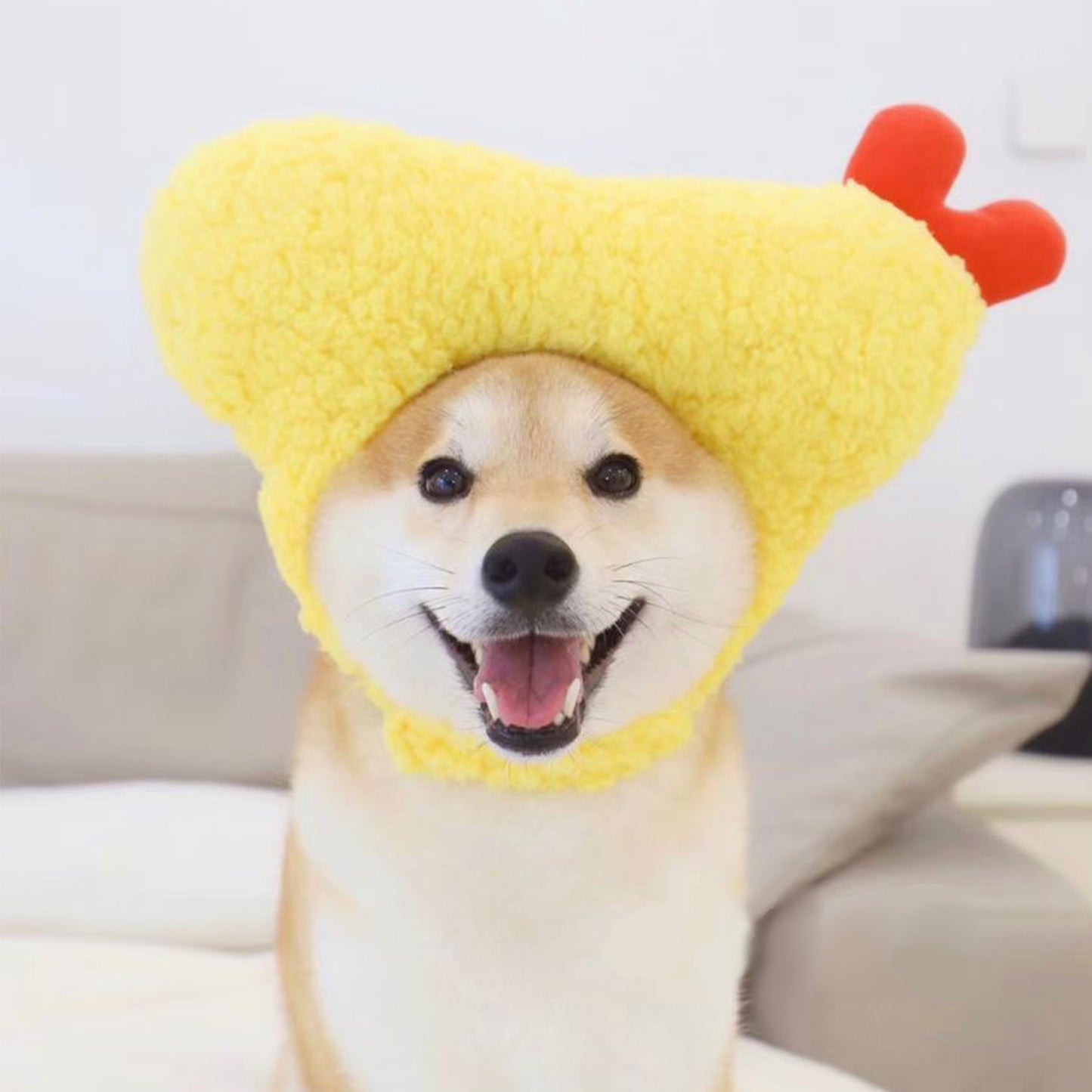 Kashima Shrimp Shaped Pet Hat