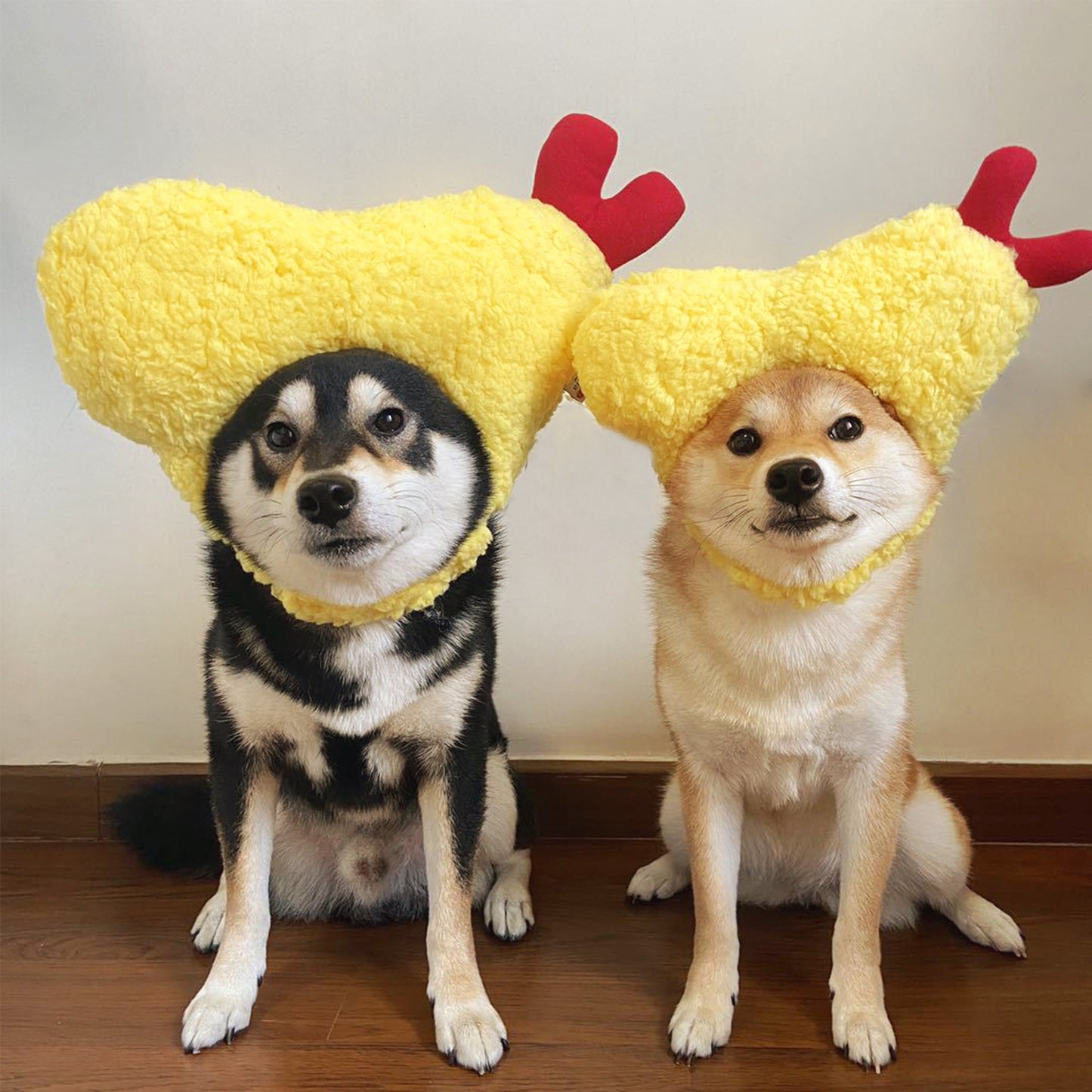 Kashima Shrimp Shaped Pet Hat