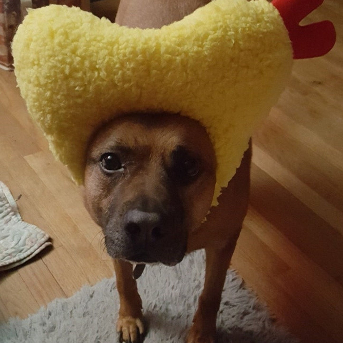 Kashima Shrimp Shaped Pet Hat